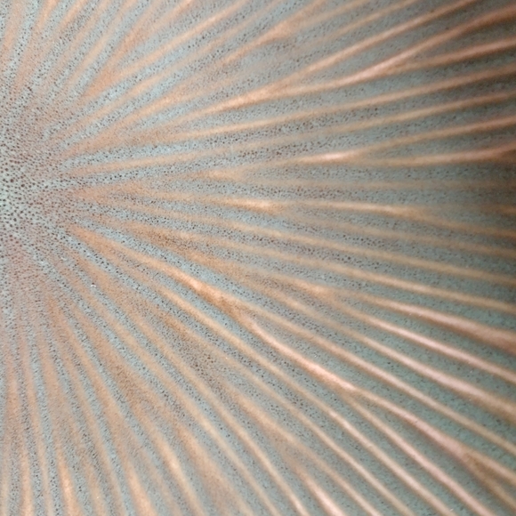 Studio Art pottery Green Glazed Radiant Textured Black Matte Base. - Picture 3 of 6